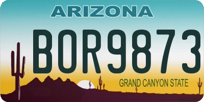 AZ license plate BOR9873
