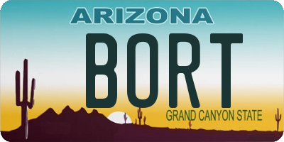 AZ license plate BORT