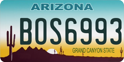 AZ license plate BOS6993