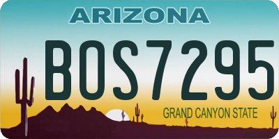 AZ license plate BOS7295