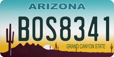 AZ license plate BOS8341