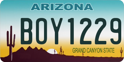 AZ license plate BOY1229