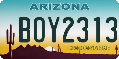AZ license plate BOY2313