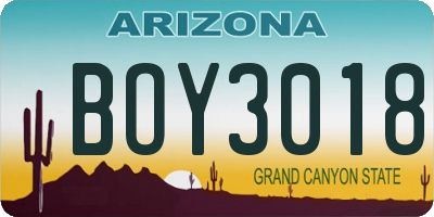 AZ license plate BOY3018