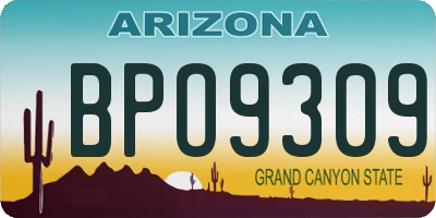 AZ license plate BPO9309
