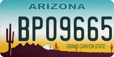 AZ license plate BPO9665