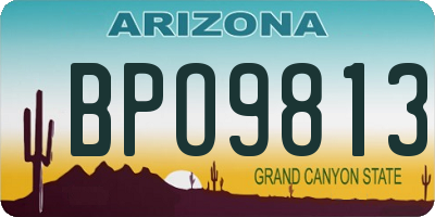 AZ license plate BPO9813