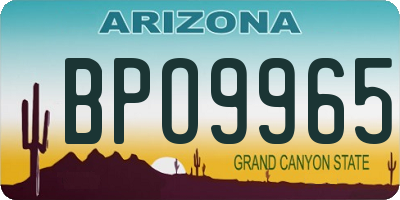 AZ license plate BPO9965