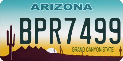 AZ license plate BPR7499