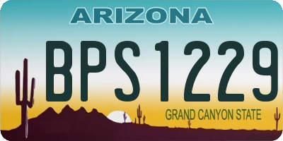 AZ license plate BPS1229