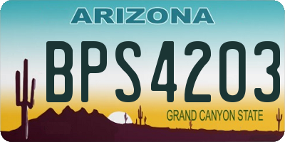 AZ license plate BPS4203