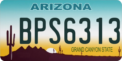 AZ license plate BPS6313