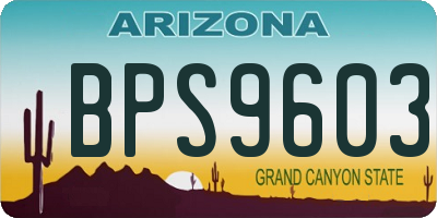 AZ license plate BPS9603