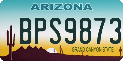 AZ license plate BPS9873