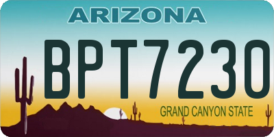 AZ license plate BPT7230