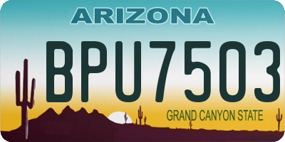 AZ license plate BPU7503