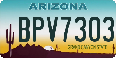 AZ license plate BPV7303