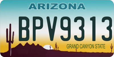 AZ license plate BPV9313