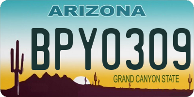 AZ license plate BPY0309