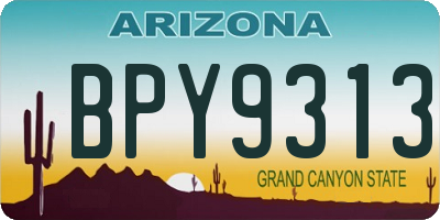 AZ license plate BPY9313