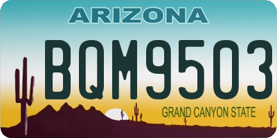 AZ license plate BQM9503