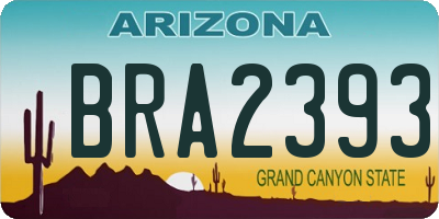 AZ license plate BRA2393