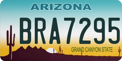 AZ license plate BRA7295