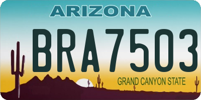 AZ license plate BRA7503