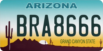 AZ license plate BRA8666