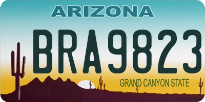 AZ license plate BRA9823