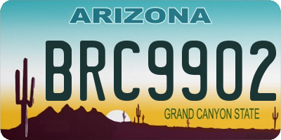 AZ license plate BRC9902