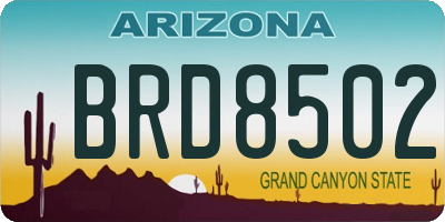 AZ license plate BRD8502