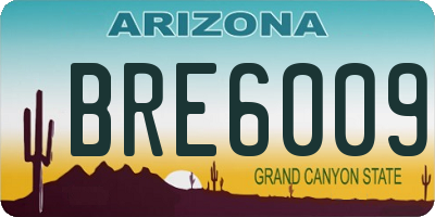 AZ license plate BRE6009