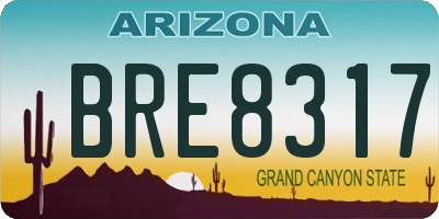AZ license plate BRE8317