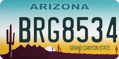 AZ license plate BRG8534