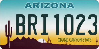 AZ license plate BRI1023