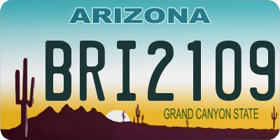 AZ license plate BRI2109