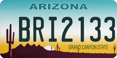 AZ license plate BRI2133