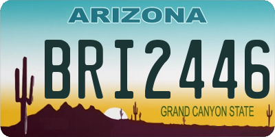 AZ license plate BRI2446
