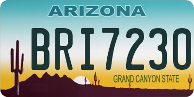 AZ license plate BRI7230