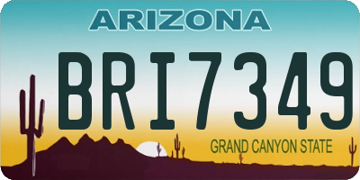 AZ license plate BRI7349