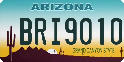 AZ license plate BRI9010