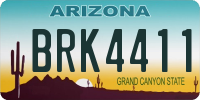 AZ license plate BRK4411