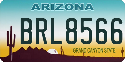 AZ license plate BRL8566