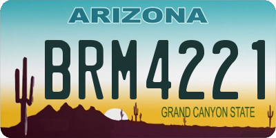 AZ license plate BRM4221