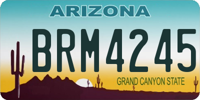 AZ license plate BRM4245
