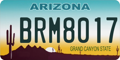 AZ license plate BRM8017