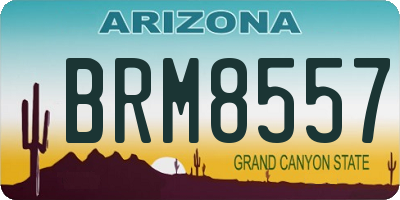AZ license plate BRM8557