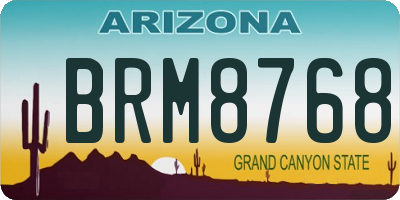 AZ license plate BRM8768