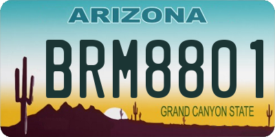 AZ license plate BRM8801